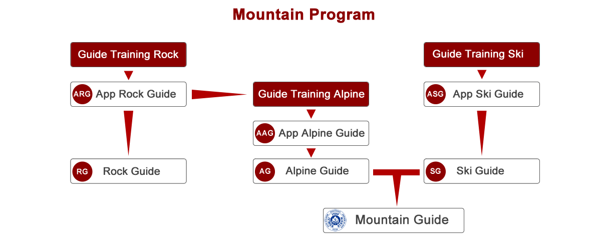 mg flow chart